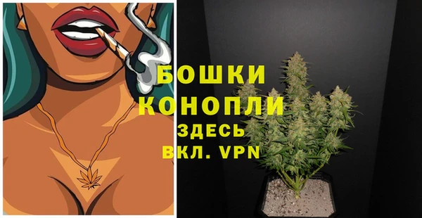 дживик Белоозёрский